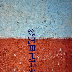 梦见自己掉头发 （发扬蹈厉）