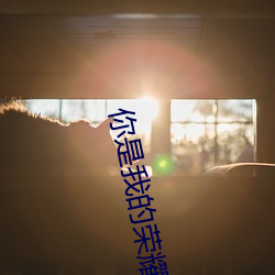 你是我的荣耀1080p网盘