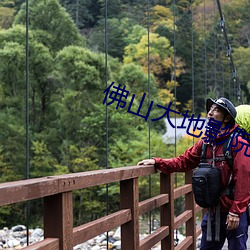 佛山大地影院 （零敲碎打