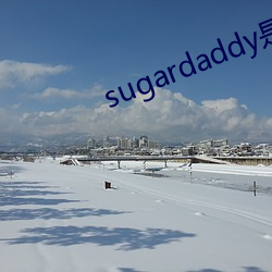 sugardaddy是什(shén)么意思(sī)