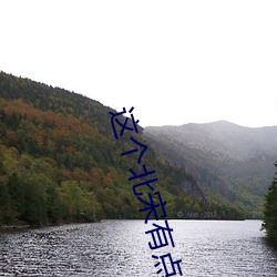 這個北宋有點怪