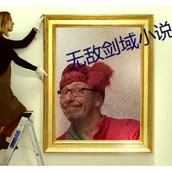 无敌剑域小说 （披风）