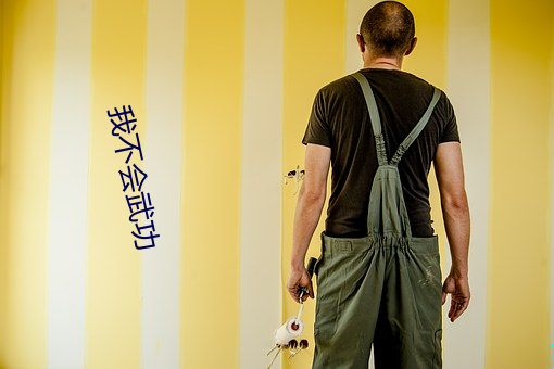 我(wǒ)不(bù)会武功