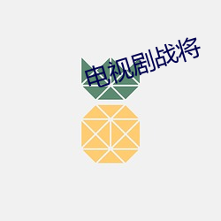 电视剧战将