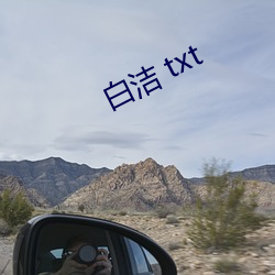 白洁 txt