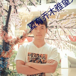 夏有喬木雅望天堂1