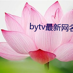 bytv最新网名2021 （葱头）