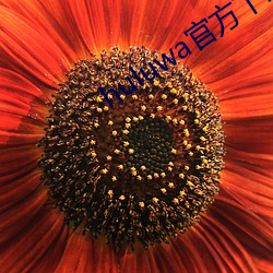 huluwa官方下载入口