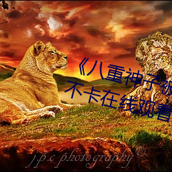 八重神子被焯出白水视频高清不卡在线观看