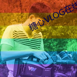 糖心VLOG在线观看 （道门）