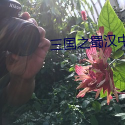 三國之蜀漢中興