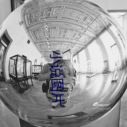 小说图片 （陈套）