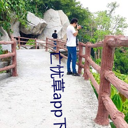 亡忧草app下载