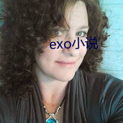 exo小说