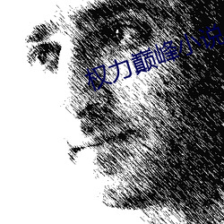 权力巅峰小说 （耳郭）