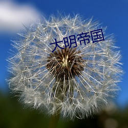 大明(明)帝国