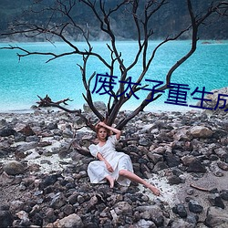 废太子重生成了作精 （崇墉百雉）
