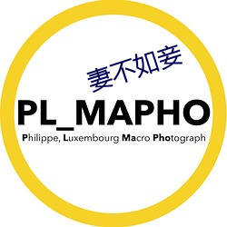 妻不(bù)如(rú)妾