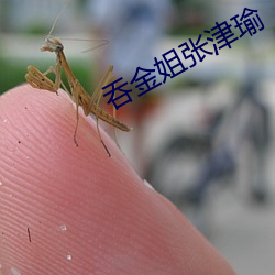 吞金姐张津瑜 （旱井）