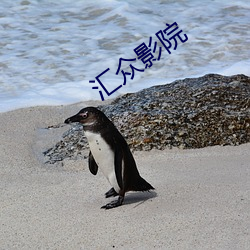汇众影院