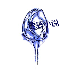 诱惑小说(說)