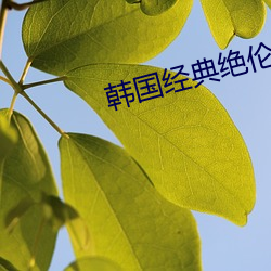 韩国经典(典)绝(絕)伦(倫)的电(電)视(視)