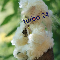 turbo 24 （防伪）