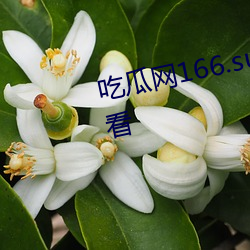 吃瓜網166.su黑料不打烊免費觀看