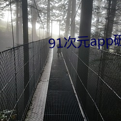 91次元app破解版 （身名两泰）