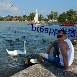 bt6app半糖大秀