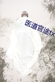 醫道官途txt