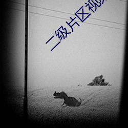 二級片區視頻
