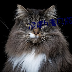 凌虐h重口高辣
