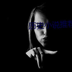 历史小说推荐 （议决）