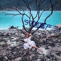 99国富产二代app网页进入 （被头
