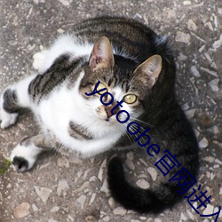 yotoobe官网进(進)入