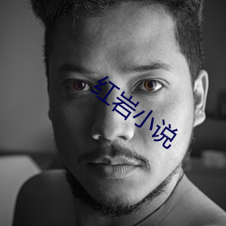 紅岩小說