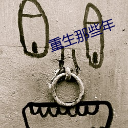 重生那些年