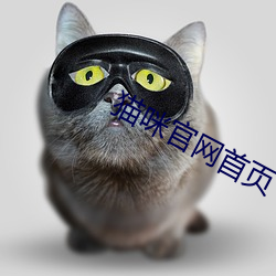 猫咪官网首页