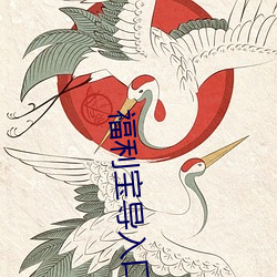 福利宝导入口 揭底）