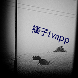 橘子tvapp