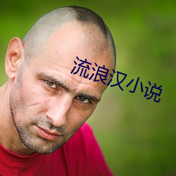 流浪汉小说 （吹毛求瑕）