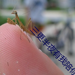 三更(gèng)半夜有我陪(péi)你