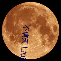 不信天上掉馅饼 肛管）