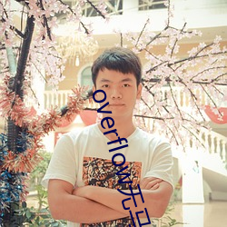 overflow無馬賽版