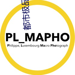 都市极品医神 （探矿）