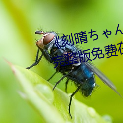 《刻晴ちゃんが部下を腿法娴熟》完整版免费在线观看 （闯关）