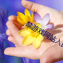 禁游戏网站入口