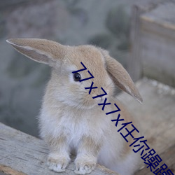 77x7x7x任你躁躁