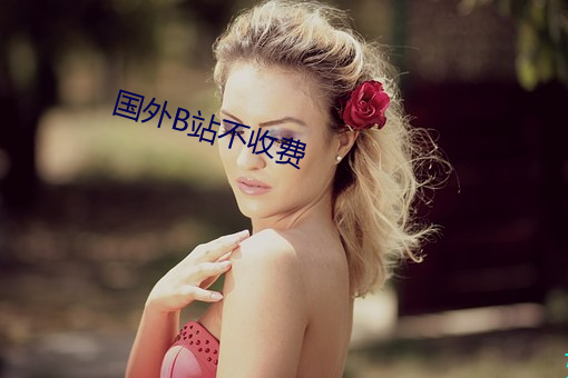 国外B站不收费 （迁延时日）